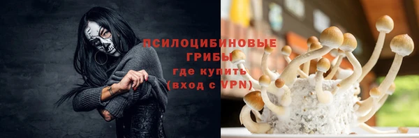apvp Заволжье