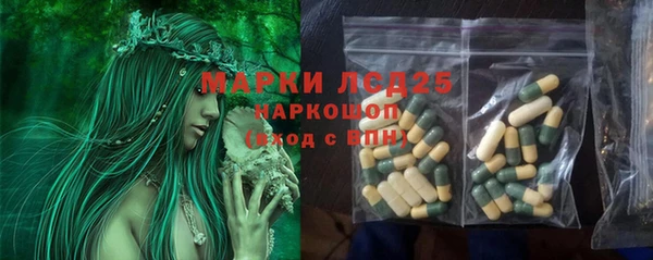 apvp Заволжье