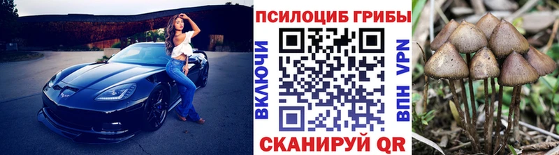 Купить закладки  Сызрань  Галлюциногенные грибы мицелий 